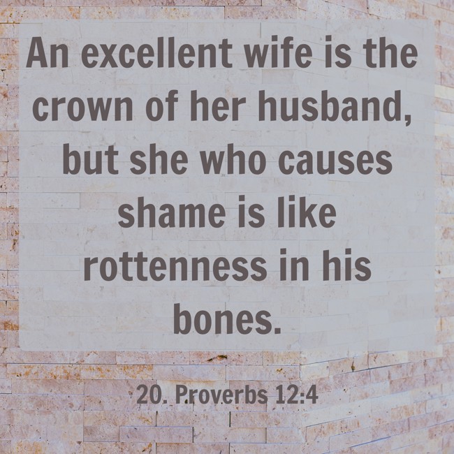 An excellent wife is the crown of her husband, but she who causes shame is like rottenness in his bones. - 20. Proverbs 12:4