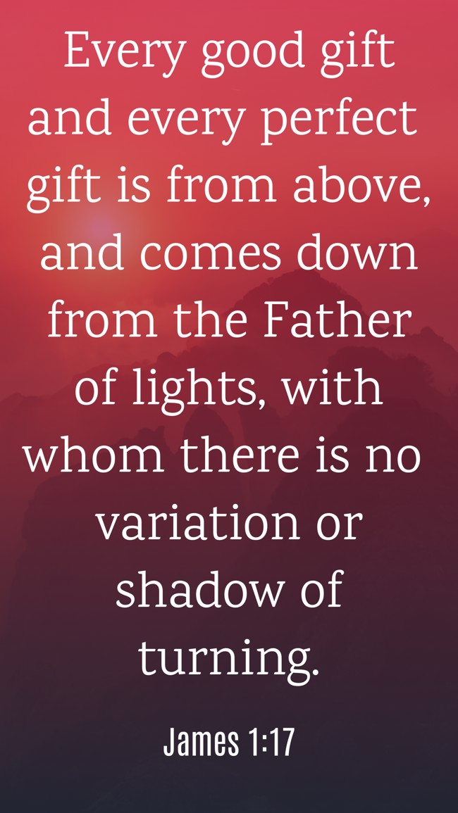 Every good gift and every perfect gift is from above, and comes down from the Father of lights, with whom there is no variation or shadow of turning. - James 1:17