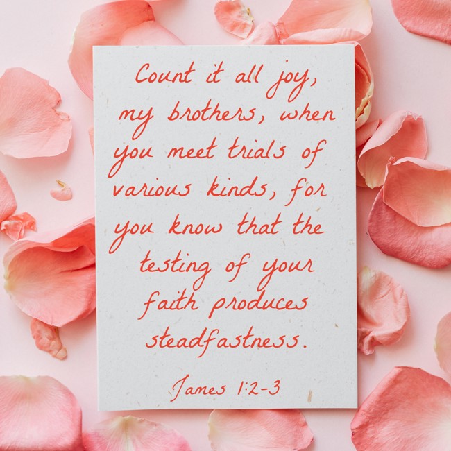 Count it all joy, my brothers, when you meet trials of various kinds, for you know that the testing of your faith produces steadfastness. - James 1:2-3
