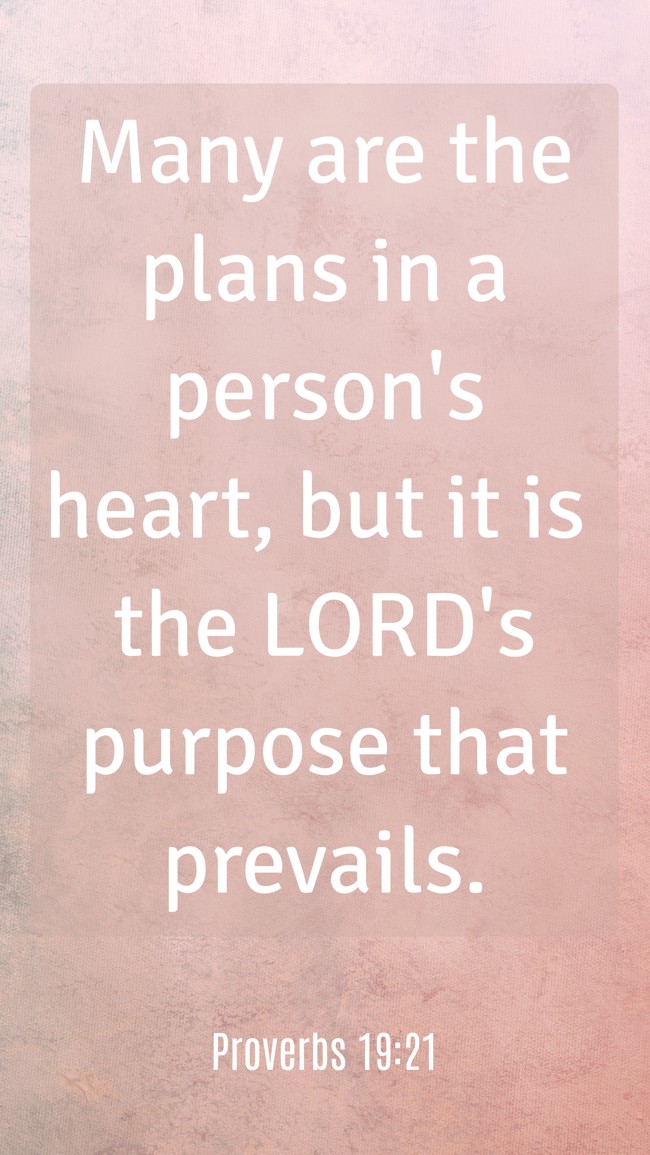 Many are the plans in a person's heart, but it is the LORD's purpose that prevails. - Proverbs 19:21
