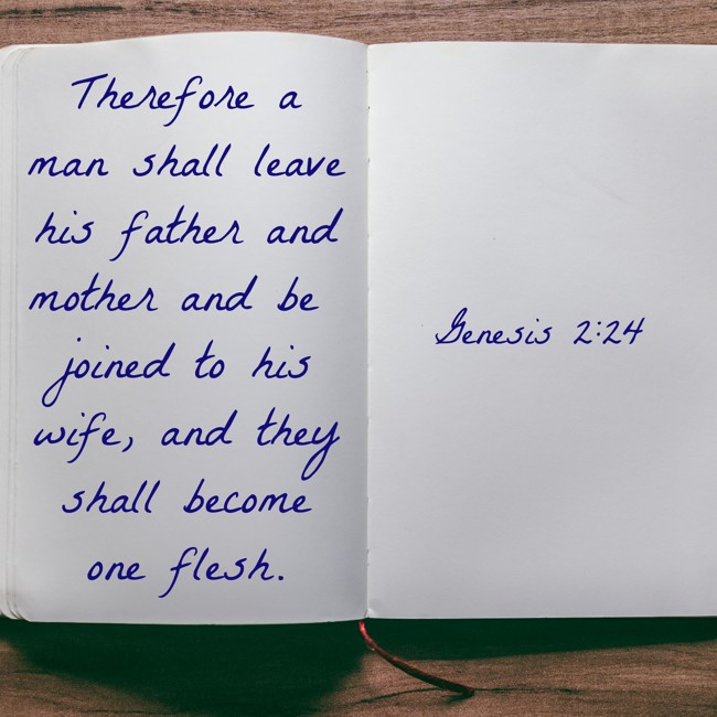 Therefore a man shall leave his father and mother and be joined to his wife, and they shall become one flesh. - Genesis 2:24