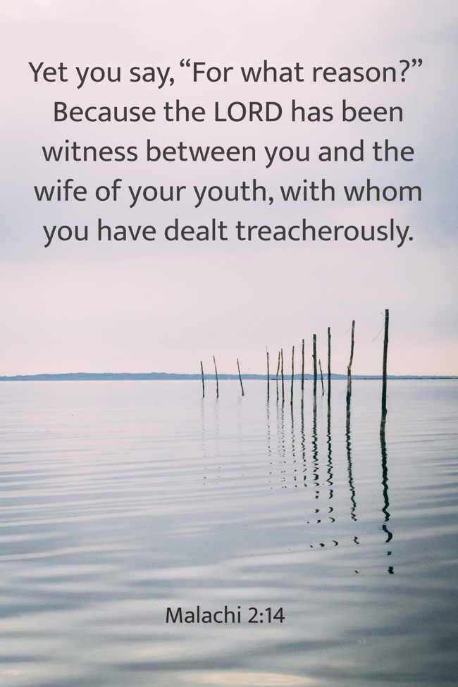 Yet you say, “For what reason?” Because the LORD has been witness between you and the wife of your youth, with whom you have dealt treacherously. - Malachi 2:14