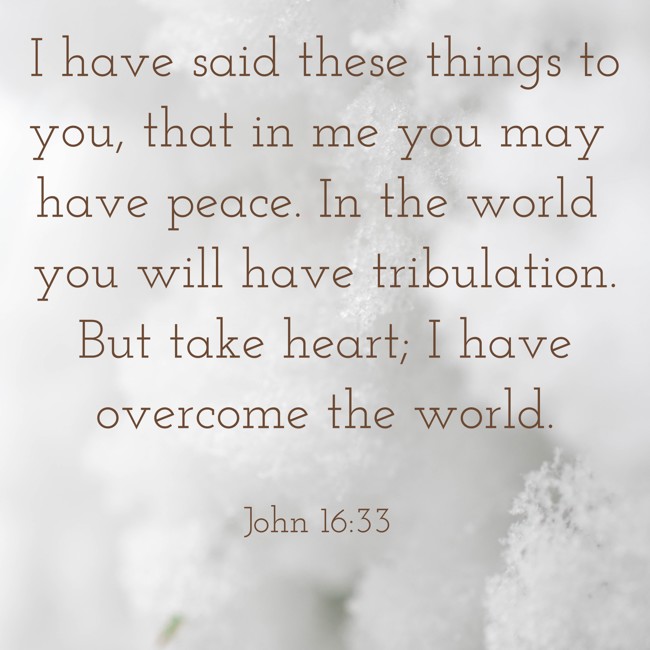 I have said these things to you, that in me you may have peace. In the world you will have tribulation. But take heart; I have overcome the world. - John 16:33
