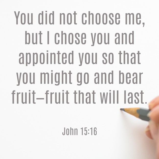 You did not choose me, but I chose you and appointed you so that you might go and bear fruit—fruit that will last. - John 15:16