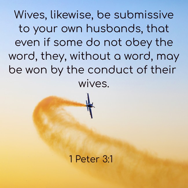 Wives, likewise, be submissive to your own husbands, that even if some do not obey the word, they, without a word, may be won by the conduct of their wives. - 1 Peter 3:1