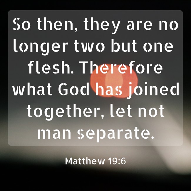 So then, they are no longer two but one flesh. Therefore what God has joined together, let not man separate. - Matthew 19:6
