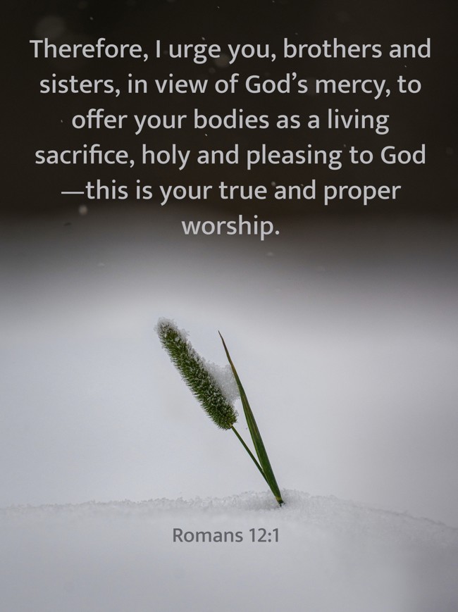 Therefore, I urge you, brothers and sisters, in view of God’s mercy, to offer your bodies as a living sacrifice, holy and pleasing to God—this is your true and proper worship. - Romans 12:1
