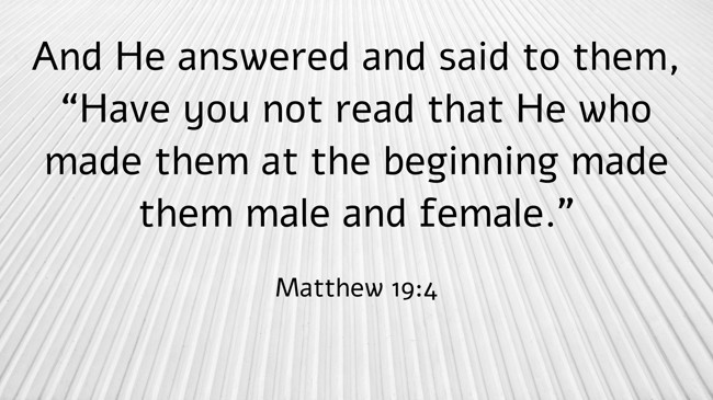 And He answered and said to them, “Have you not read that He who made them at the beginning made them male and female.” - Matthew 19:4