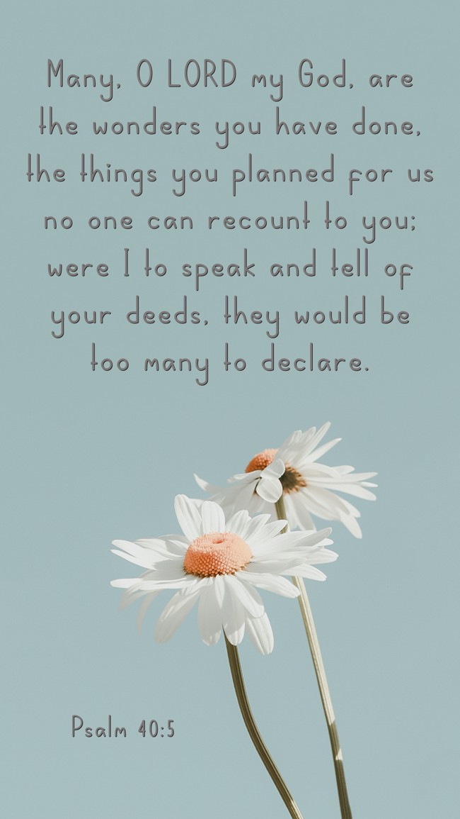 Many, O LORD my God, are the wonders you have done, the things you planned for us no one can recount to you; were I to speak and tell of your deeds, they would be too many to declare. - Psalm 40:5