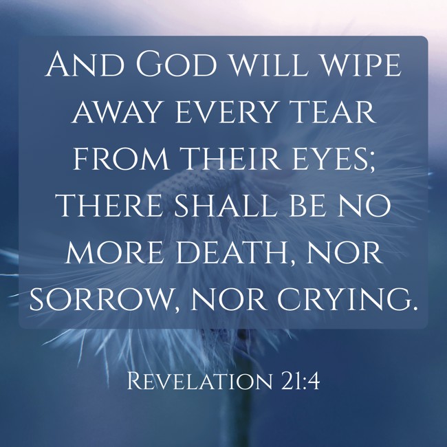  And God will wipe away every tear from their eyes; there shall be no more death, nor sorrow, nor crying.   - Revelation 21:4 