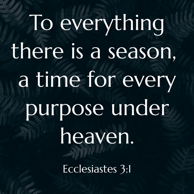  To everything there is a season, a time for every purpose under heaven.   - Ecclesiastes 3:1 
