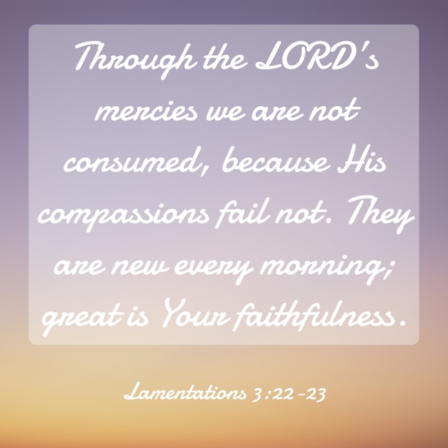  Through the LORD’s mercies we are not consumed, because His compassions fail not. They are new every morning; great is Your faithfulness.   - Lamentations 3:22-23 