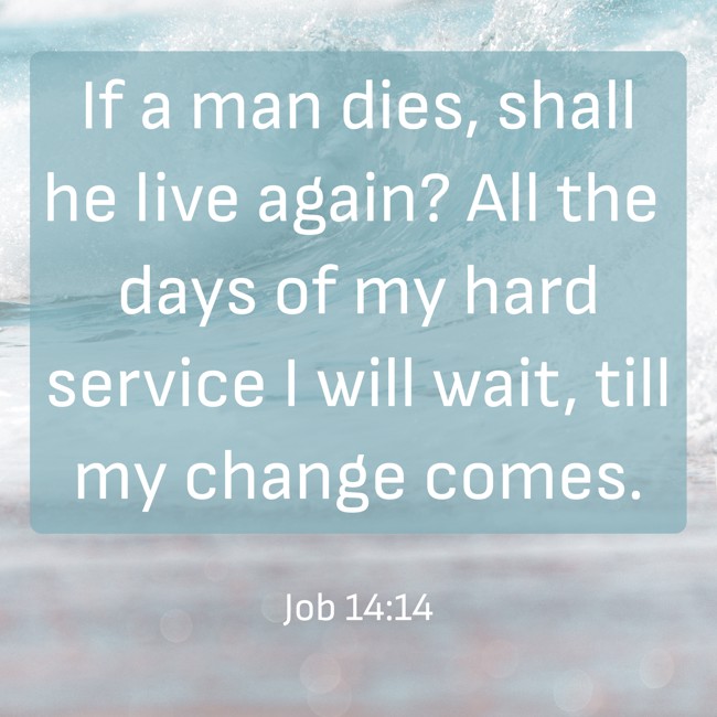  If a man dies, shall he live again? All the days of my hard service I will wait, till my change comes.   - Job 14:14 