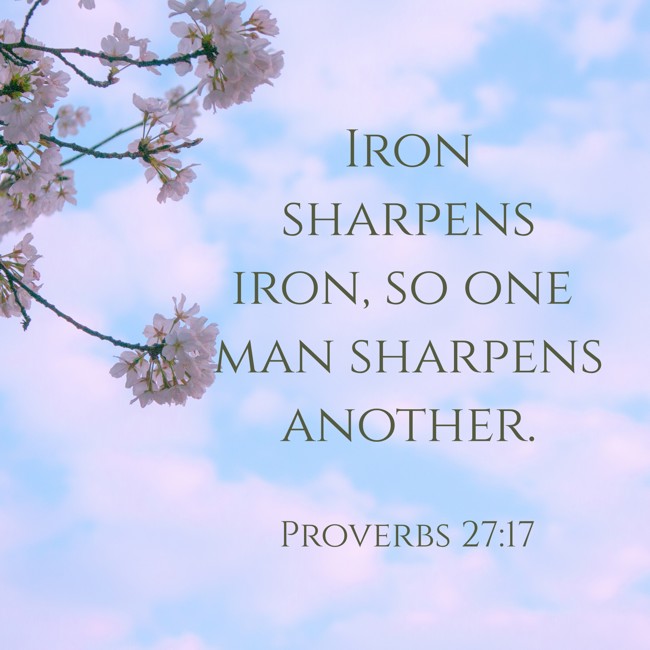Iron sharpens iron, so one man sharpens another. - Proverbs 27:17