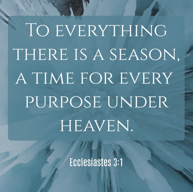 To everything there is a season, a time for every purpose under heaven. - Ecclesiastes 3:1