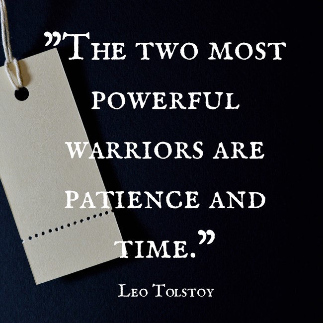  The two most powerful warriors are patience and time.   - Leo Tolstoy 