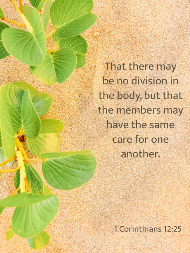 That there may be no division in the body, but that the members may have the same care for one another. - 1 Corinthians 12:25