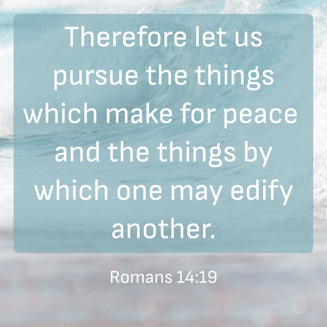 Therefore let us pursue the things which make for peace and the things by which one may edify another. - Romans 14:19