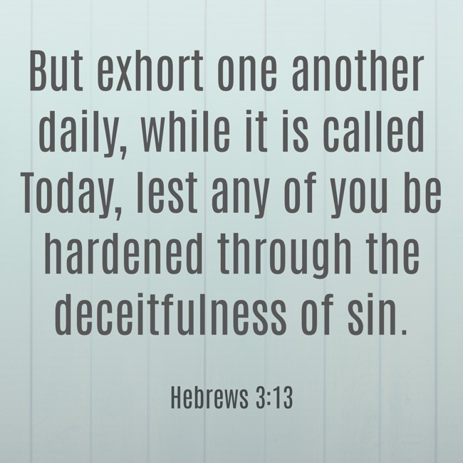 But exhort one another daily, while it is called Today, lest any of you be hardened through the deceitfulness of sin. - Hebrews 3:13