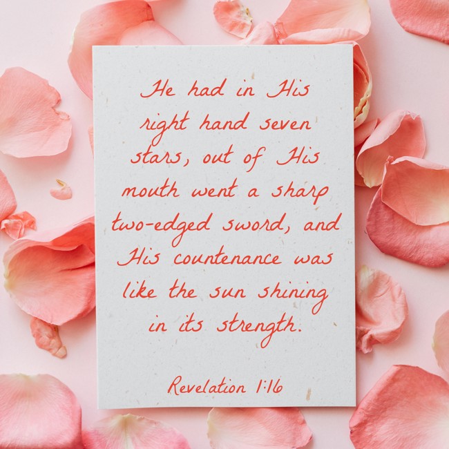 He had in His right hand seven stars, out of His mouth went a sharp two-edged sword, and His countenance was like the sun shining in its strength. - Revelation 1:16
