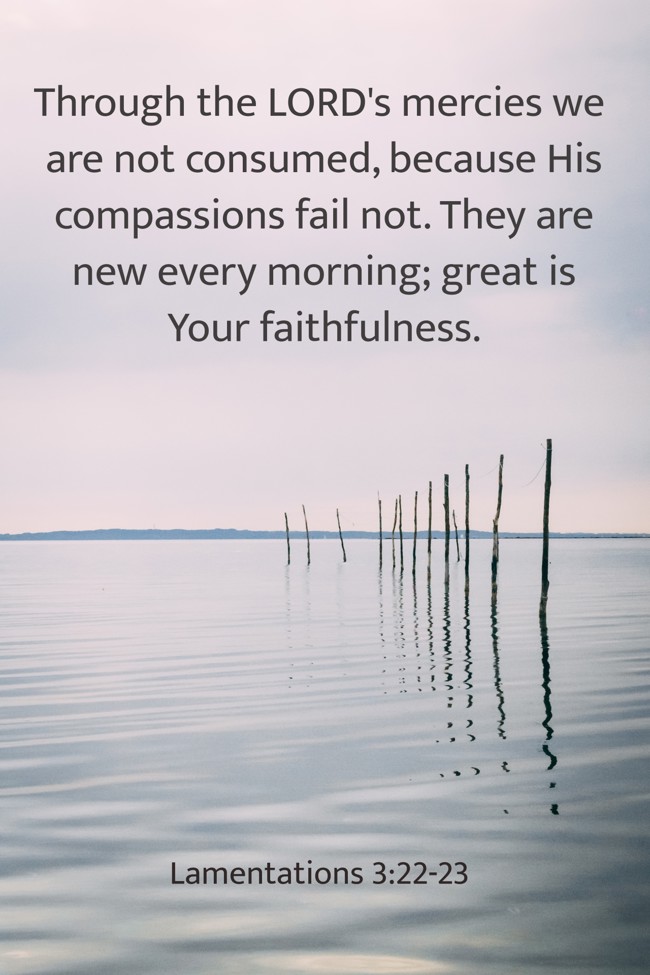 Through the LORD's mercies we are not consumed, because His compassions fail not. They are new every morning; great is Your faithfulness. - Lamentations 3:22-23