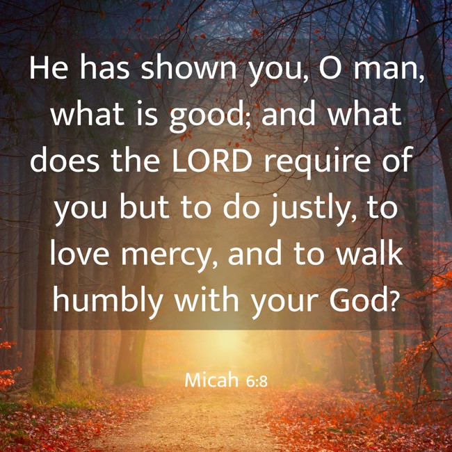 He has shown you, O man, what is good; and what does the LORD require of you but to do justly, to love mercy, and to walk humbly with your God? - Micah 6:8