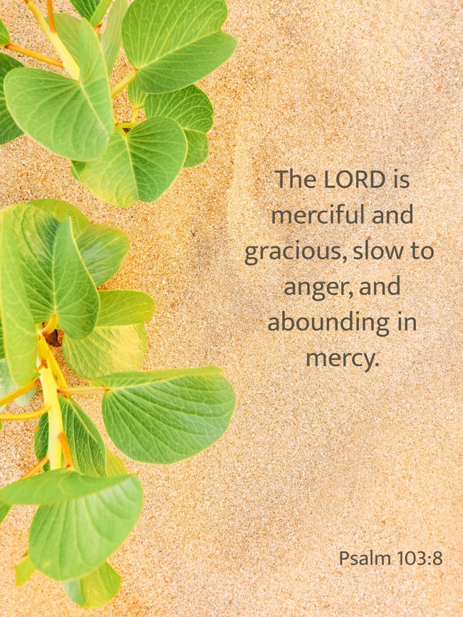 The LORD is merciful and gracious, slow to anger, and abounding in mercy. - Psalm 103:8