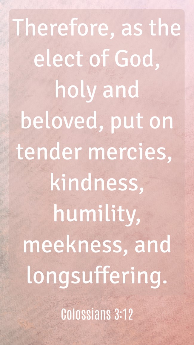 Therefore, as the elect of God, holy and beloved, put on tender mercies, kindness, humility, meekness, and longsuffering. - Colossians 3:12