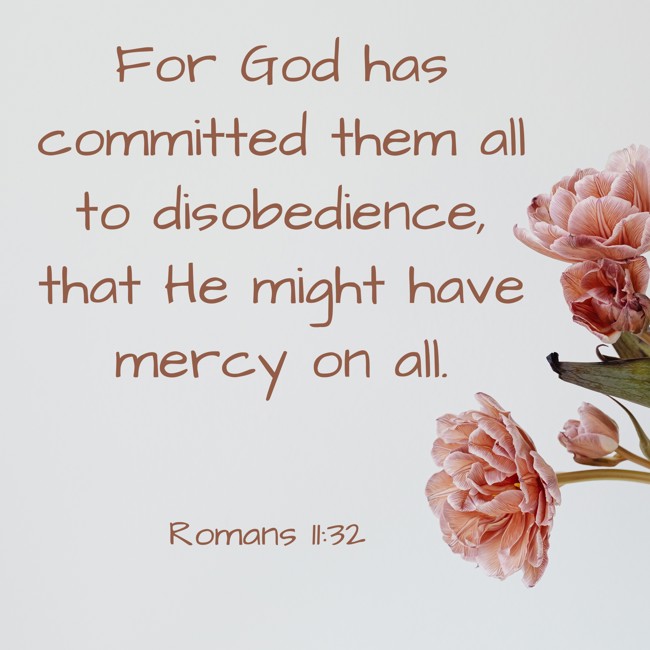 For God has committed them all to disobedience, that He might have mercy on all. - Romans 11:32
