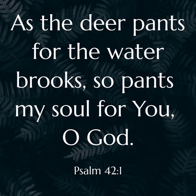  As the deer pants for the water brooks, so pants my soul for You, O God.   - Psalm 42:1 