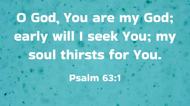  O God, You are my God; early will I seek You; my soul thirsts for You.   - Psalm 63:1 