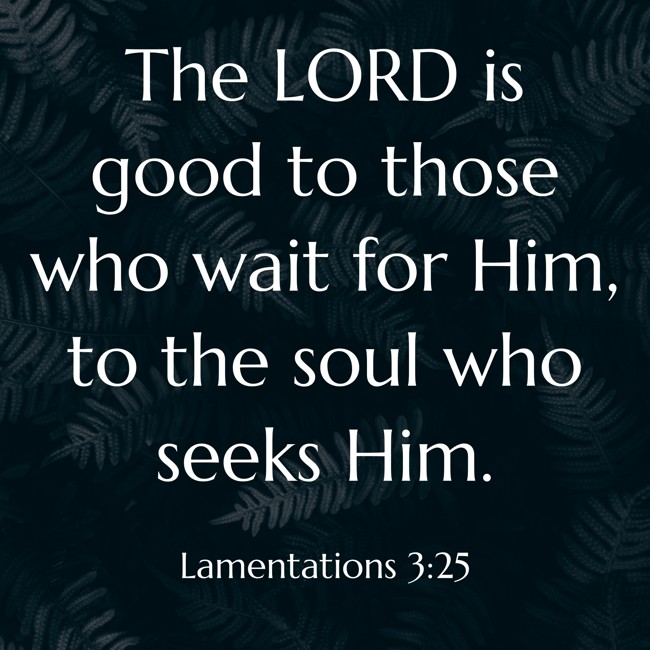 The LORD is good to those who wait for Him, to the soul who seeks Him.   - Lamentations 3:25 