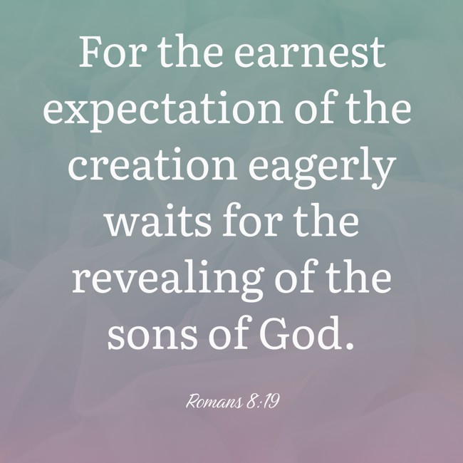  For the earnest expectation of the creation eagerly waits for the revealing of the sons of God.   - Romans 8:19 