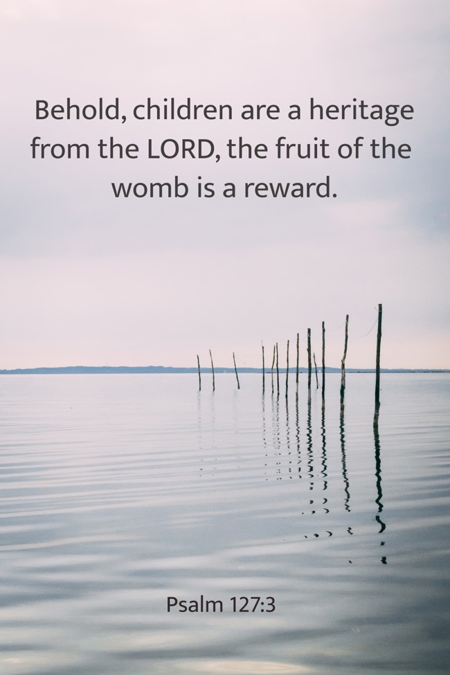  Behold, children are a heritage from the LORD, the fruit of the womb is a reward.   - Psalm 127:3 