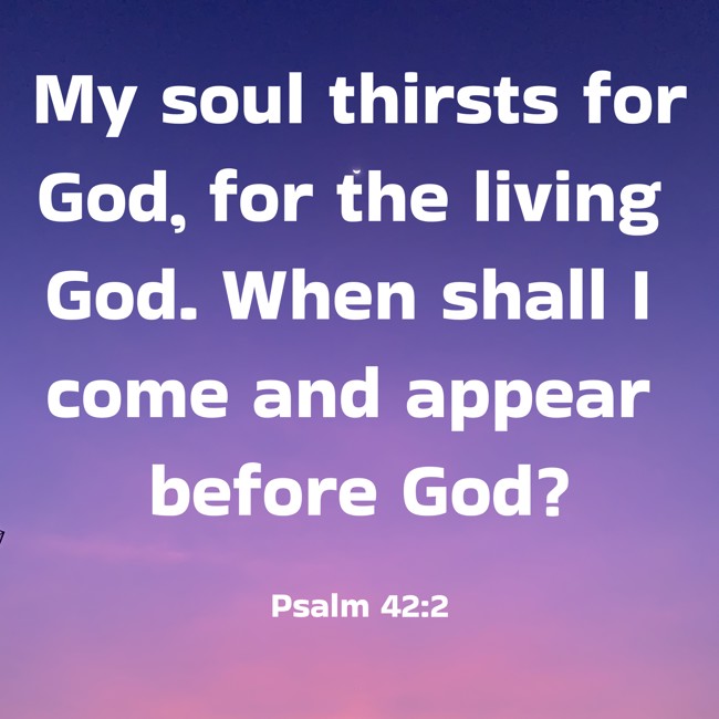  My soul thirsts for God, for the living God. When shall I come and appear before God?   - Psalm 42:2 
