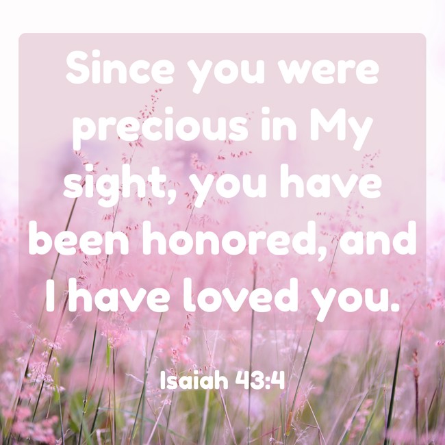  Since you were precious in My sight, you have been honored, and I have loved you.   - Isaiah 43:4 