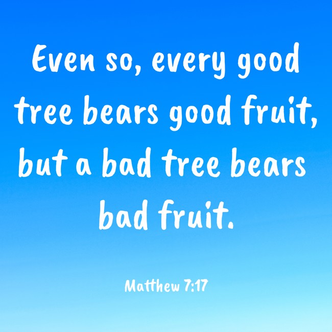 Even so, every good tree bears good fruit, but a bad tree bears bad fruit. - Matthew 7:17