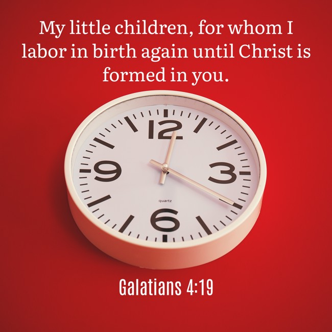  My little children, for whom I labor in birth again until Christ is formed in you.   - Galatians 4:19 
