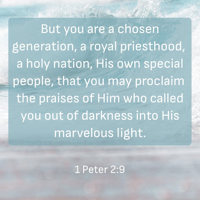 But you are a chosen generation, a royal priesthood, a holy nation, His own special people, that you may proclaim the praises of Him who called you out of darkness into His marvelous light. - 1 Peter 2:9