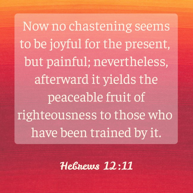  Now no chastening seems to be joyful for the present, but painful; nevertheless, afterward it yields the peaceable fruit of righteousness to those who have been trained by it.   - Hebrews 12:11 