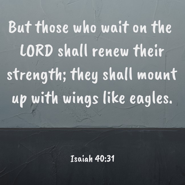  But those who wait on the LORD shall renew their strength; they shall mount up with wings like eagles.   - Isaiah 40:31 