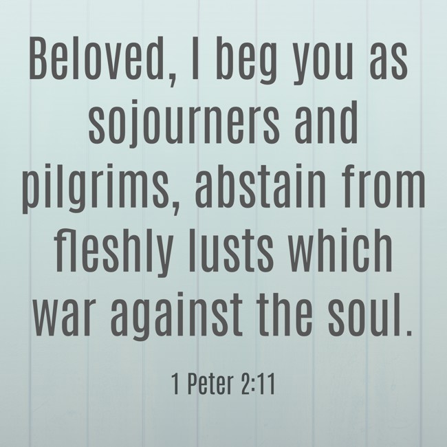  Beloved, I beg you as sojourners and pilgrims, abstain from fleshly lusts which war against the soul.   - 1 Peter 2:11 