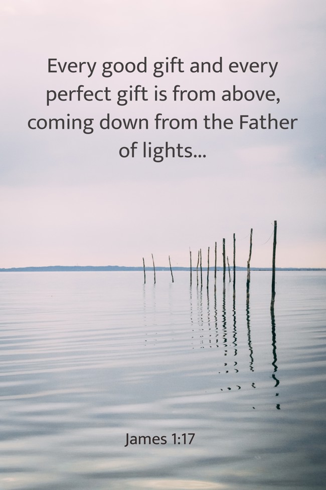  Every good gift and every perfect gift is from above, coming down from the Father of lights...   - James 1:17 