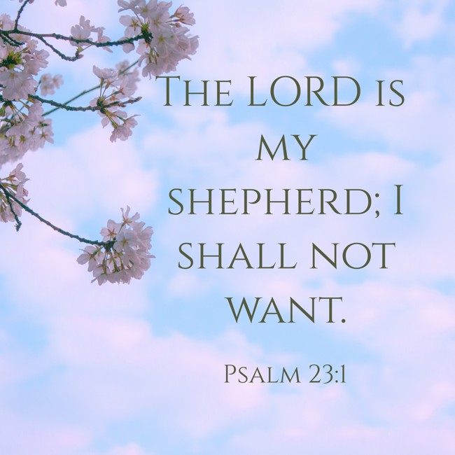  The LORD is my shepherd; I shall not want.   - Psalm 23:1 