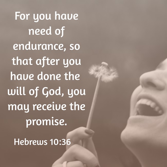  For you have need of endurance, so that after you have done the will of God, you may receive the promise.   - Hebrews 10:36 