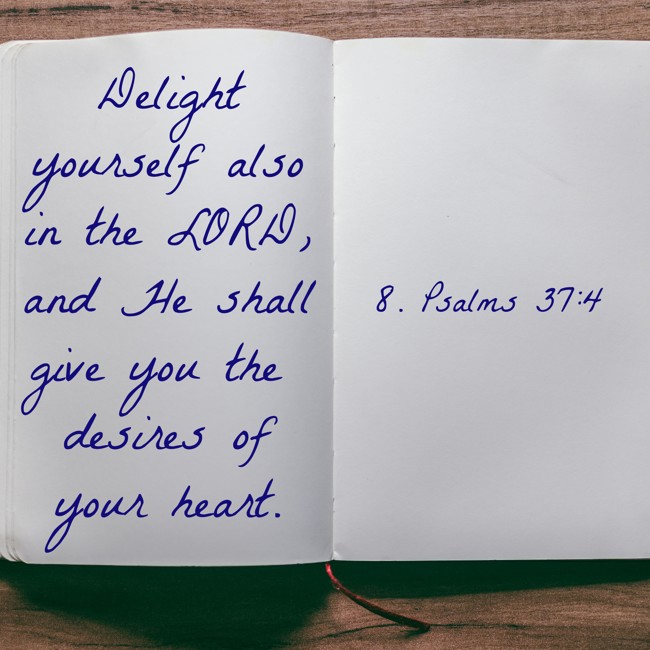 Delight yourself also in the LORD, and He shall give you the desires of your heart. - 8. Psalms 37:4