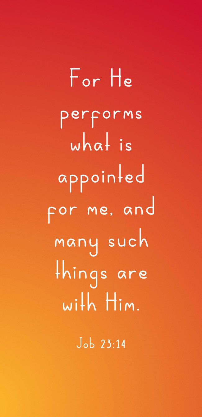  For He performs what is appointed for me, and many such things are with Him.   - Job 23:14 