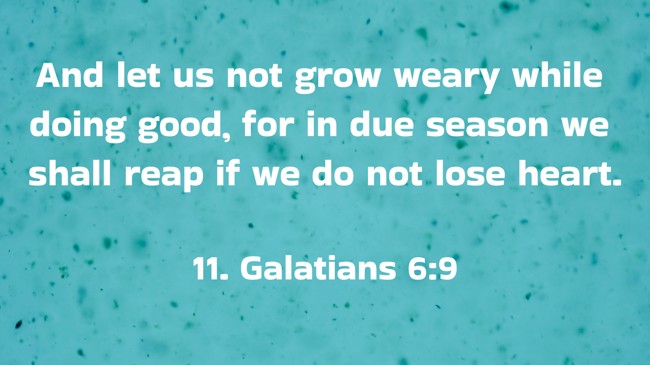 And let us not grow weary while doing good, for in due season we shall reap if we do not lose heart. - 11. Galatians 6:9