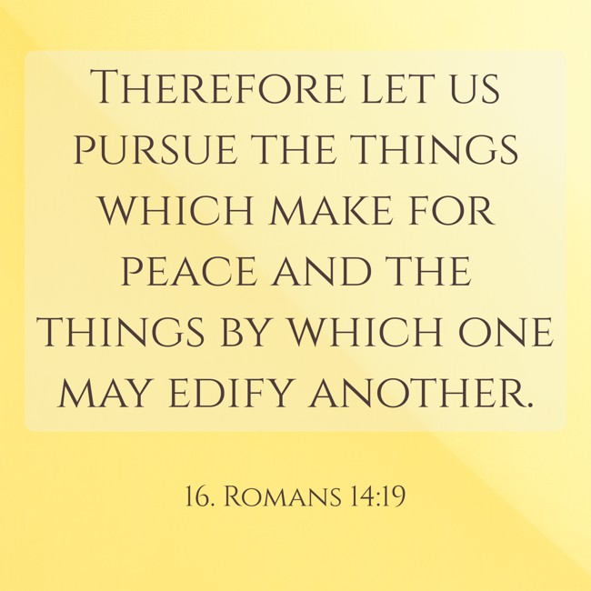 Therefore let us pursue the things which make for peace and the things by which one may edify another. - 16. Romans 14:19