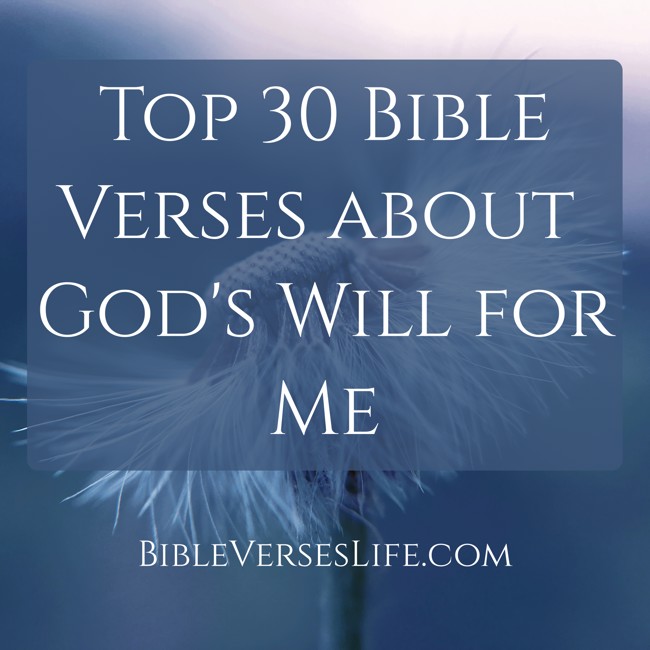 Top 30 Bible Verses about God’s Will for Me